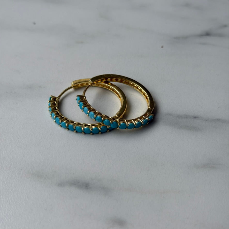 The Big Hoop Earring