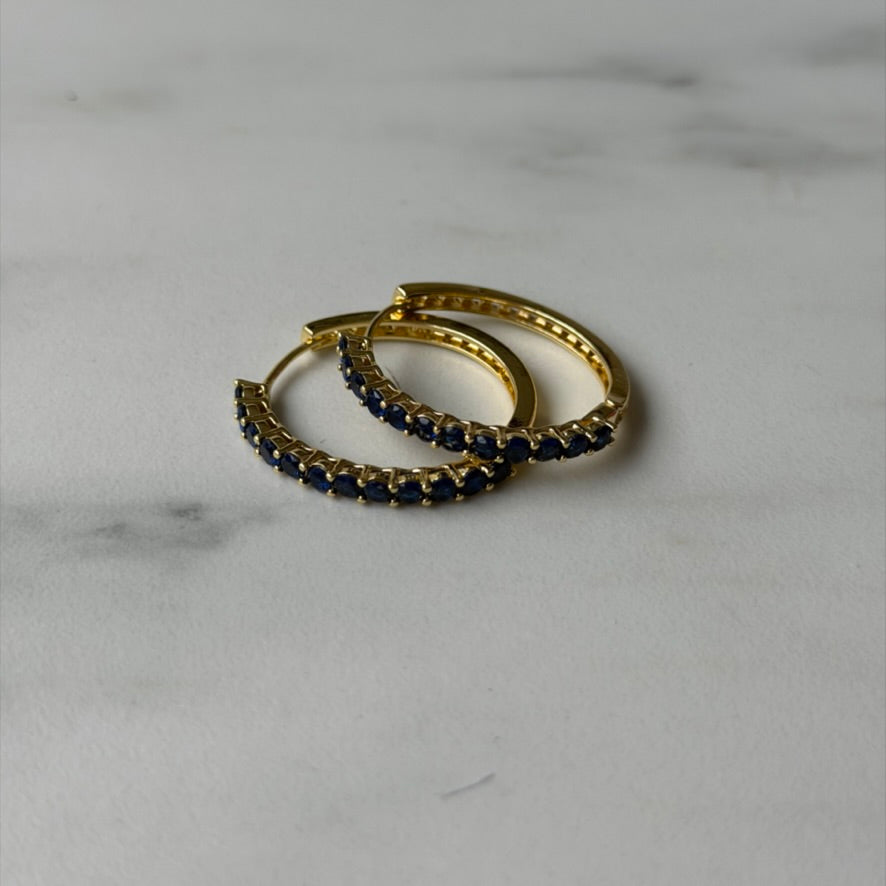 The Big Hoop Earring