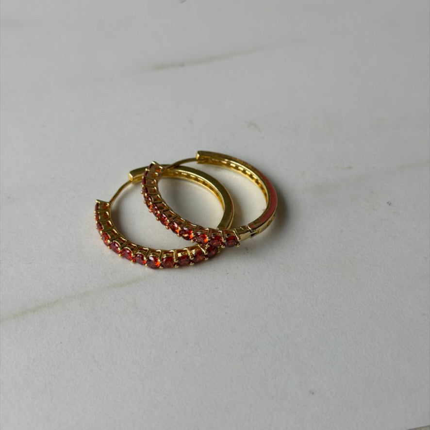 The Big Hoop Earring