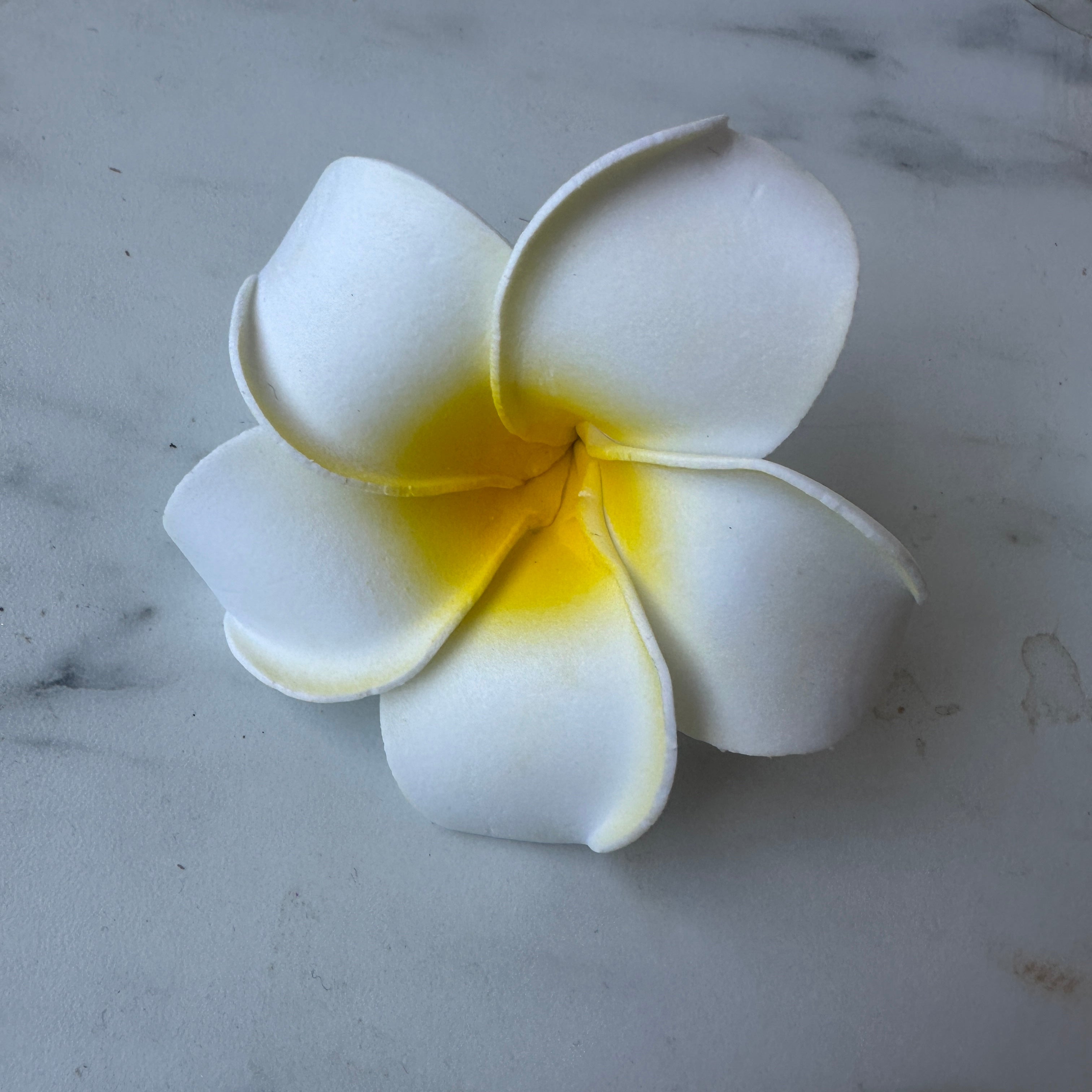 Hawaiian Tropical Flower Hair Clip