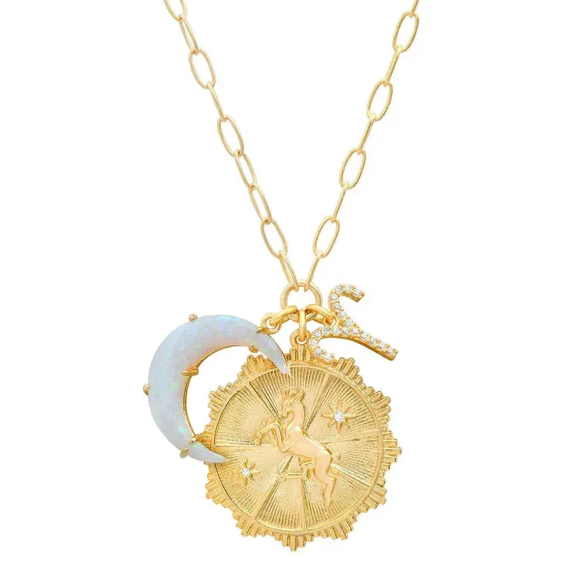 celestial zodiac coin necklace